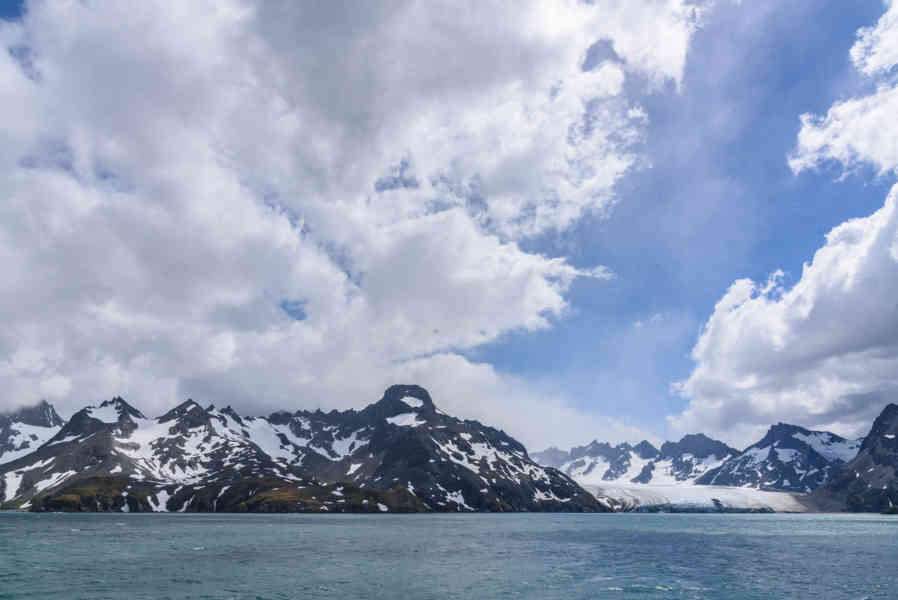 Islas Georgias del Sur 062.jpg